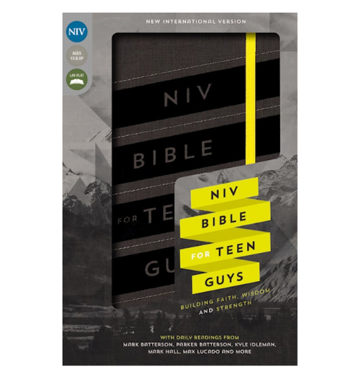 NIV Bible For Teen Guys (Charcoal Duo-Tone) By Mark Batterson