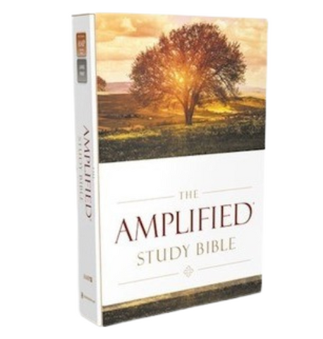Adult's - Amplified Study Bible (Hardcover)