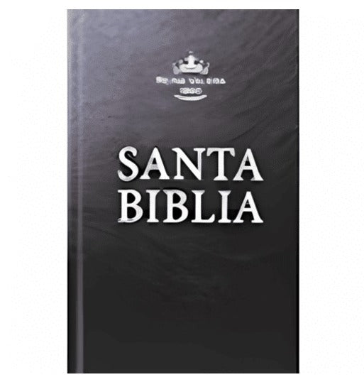 Span-RVR 1960 Pew Bible (Black Hardcover)